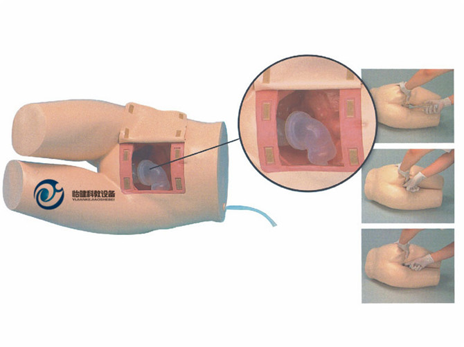 高级灌肠和辅助排便训练模型